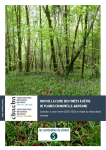 Suivi de la flore des forêts à Hêtre de plaines en Nouvelle-Aquitaine - Evolution à court terme (2020-2025) et étude du microclimat forestier vignette