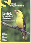 293 - Avril-Mai 2026 - Loriot, le Soleil est de retour vignette