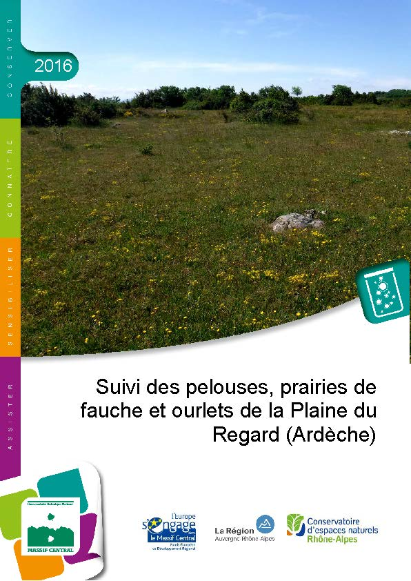 vignette